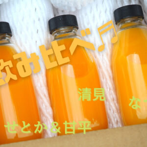 【夏休みイベント】オンラインピクニック！海が見える柑橘農園見学と3種ジュースを飲み比べ（河内晩柑のオマケ付き）