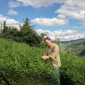お茶の力を感じるLIVE＆真冬のTeatime！ ～日本茶アワードプラチナ賞!「幸せの青いお茶」・「和紅茶」・「お茶のチョコレート」（アーカイブ動画付き販売３月３１日迄）